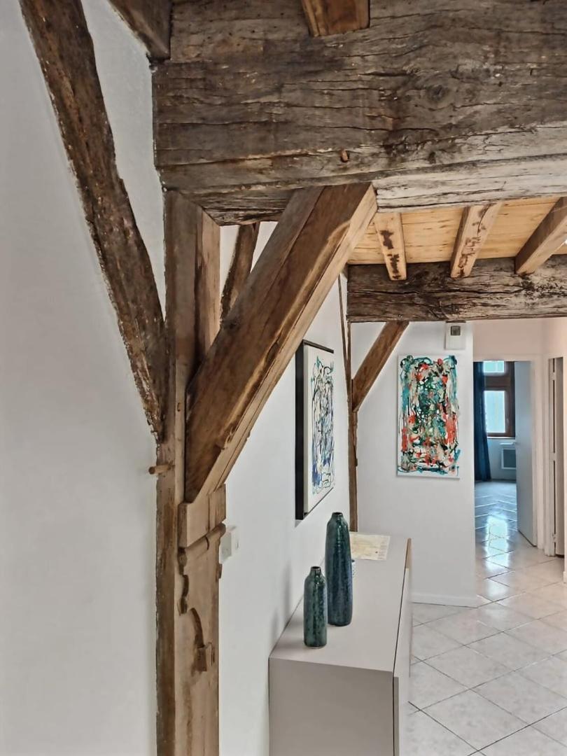 Le Scarabee Bleu - Confort Fonctionnel - Mon Groom Troyes Kültér fotó